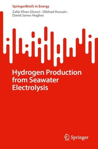Hydrogen Production from Seawater Electrolysis. 2024 ed.