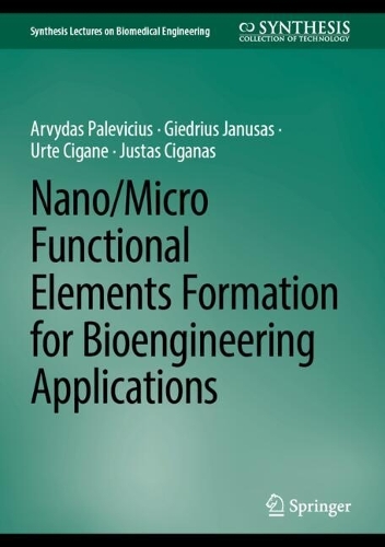 Nano/Micro Functional Elements Formation for Bioengineering Applications.