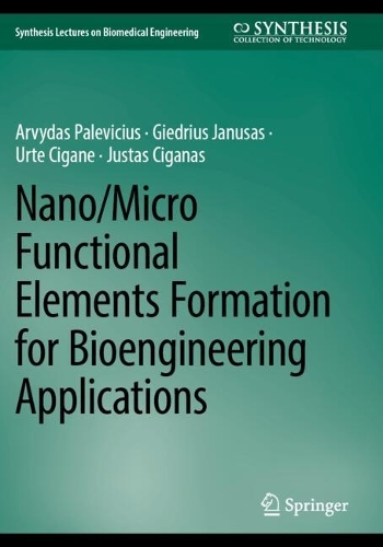 Nano/Micro Functional Elements Formation for Bioengineering Applications.