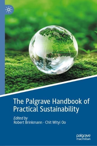 The Palgrave Handbook of Practical Sustainability.