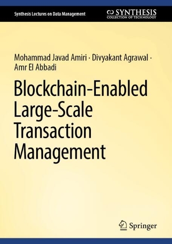 Blockchain-Enabled Large-Scale Transaction Management.