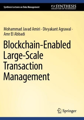 Blockchain-Enabled Large-Scale Transaction Management.