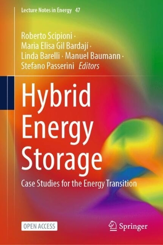 Hybrid Energy Storage: Case Studies for the Energy Transition.