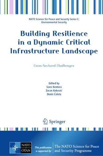Building Resilience in a Dynamic Critical Infrastructure Landscape: Cross-Sectoral Challenges.