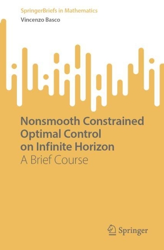 Nonsmooth Constrained Optimal Control on Infinite Horizon