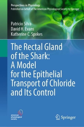 The Rectal Gland of the Shark: A Model for the Epithelial Transport of Chloride and Its Control.