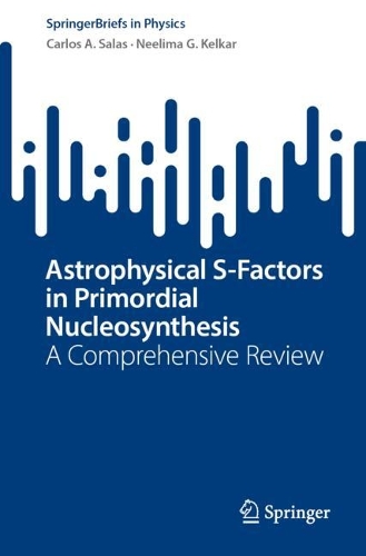 Astrophysical S-Factors in Primordial Nucleosynthesis: A Comprehensive Review.