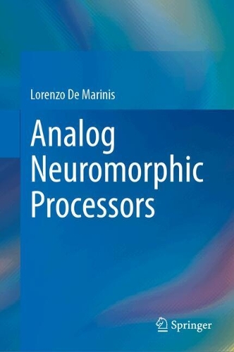 Analog Neuromorphic Processors.