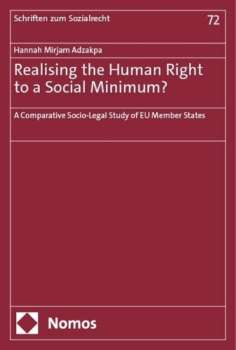 Realising the Human Right to a Social Minimum?