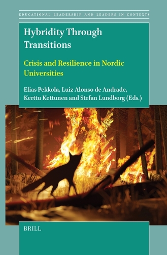Hybridity Through Transitions