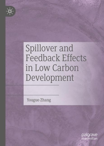 Spillover and Feedback Effects in Low Carbon Development.