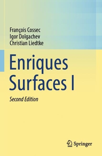Enriques Surfaces I.