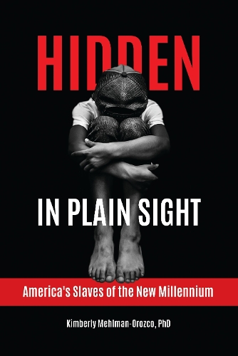 Hidden in Plain Sight: America's Slaves of the New Millennium.