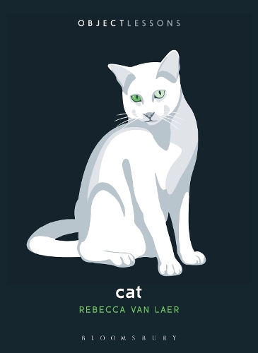 Cat.