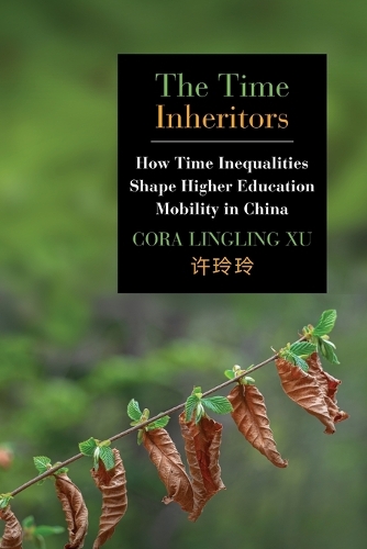 The Time Inheritors: How Time Inequalities Shape Higher Education Mobility in China.