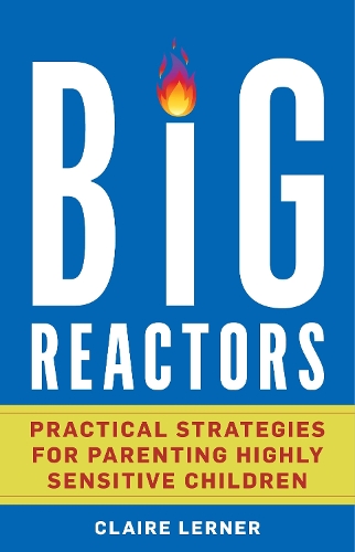 Big Reactors: Practical Strategies for Parenting Highly Sensitive Children.