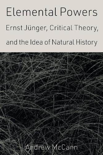 Elemental Powers: Ernst Juenger, Critical Theory, and the Idea of Natural History.