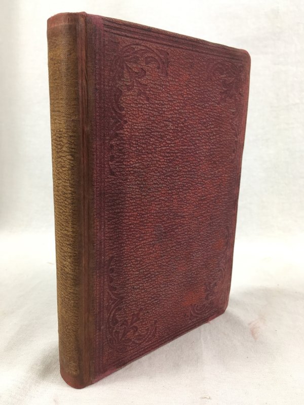 A Dog Flanders and other Stories. London, Chapman and Hall, 1873.